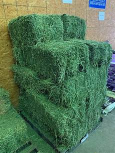 Alfalfa Bale Of Hay