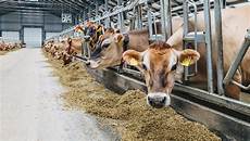 Animal Feed Processing