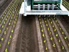 Automatic Potato Planting Machines