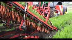 Carrot Harvesting Machines