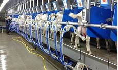 Cattle Milking Machine
