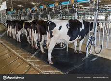 Cattle Milking Machines