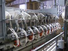 Goat And Sheep Milking Systems