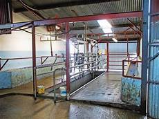 Goat Milking Systems