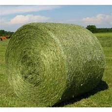 Grass Silages