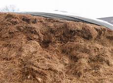 Grass Silages
