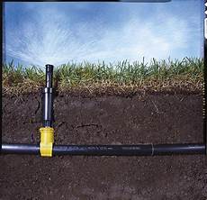 Installing Drip Irrigation