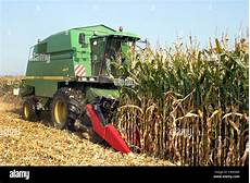 Maize Harvesting Machine