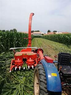 Maize Harvesting Machines