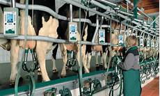 Milking Parlor Equipment