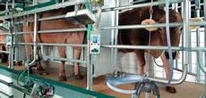 Milking Parlor Equipments
