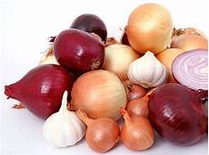 Onion And Garlic Planters