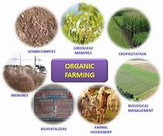 Organic Agricultural Practices