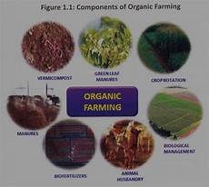 Organic Soil Regulator