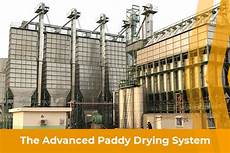 Paddy Drying Machine Production