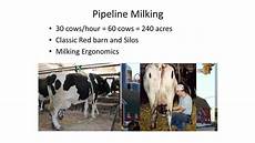 Pipeline Milking Equipments