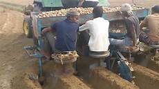 Potato Sowing Machine