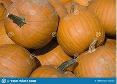 Pumpkin Harvester M