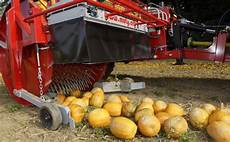 Pumpkin Seed Harvesting Machine With Depot
