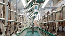 Single Milking Systems