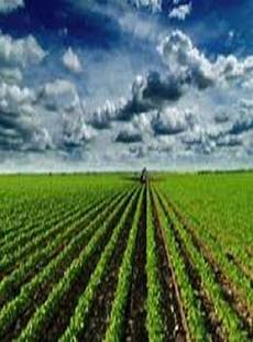 Agricultural Engineering