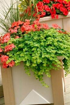 Agricultural Planters