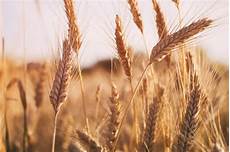 Agricultural Production