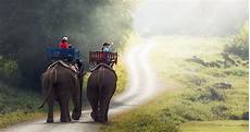 Agricultural Quarantine Consultancy Services