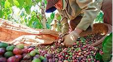 Agriculturals