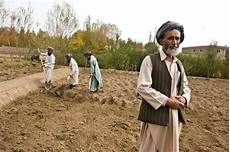 Agriculture Machineries
