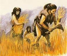 Agriculture Tools