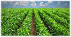 Agrochemicals Tank Lids