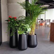 Air Planters