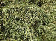 Alfalfa Mowers