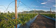 Automatic Winged Irrigation Machines