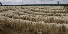 Baler Twine Extrusion Plant