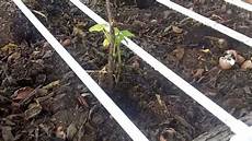 Circular Drip Irrigation Pipe