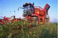 Complete Sugar Beet Harvester