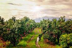 Crop Protection Sprayers