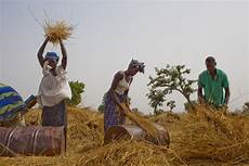 Crop Thresher