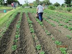 Cultivator Machinery