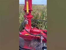 Double Rows Independent Maize
