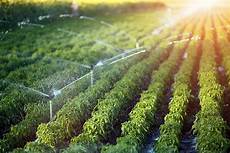 Drip Irrigation Filter Systems