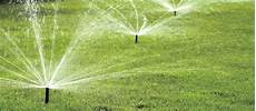 Drip Irrigation Filters