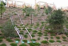 Drip Irrigation Machine