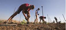 Drip Irrigation Materials