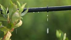 Drip Irrigation Pipe Lines