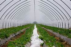 Drip Irrigation Pipe
