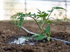 Drip Irrigation Pipes