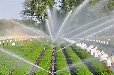 Drip Irrigation Pipes